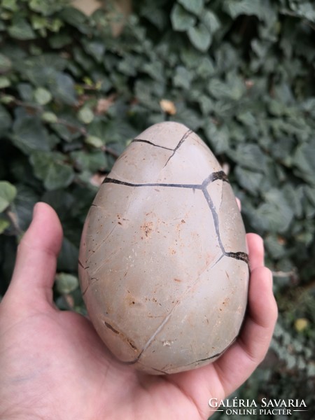 Beautiful septaria, dragon egg mineral