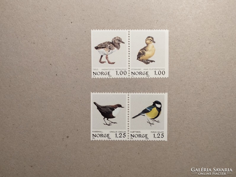 Norvégia - Fauna, madarak, fiókák 1980