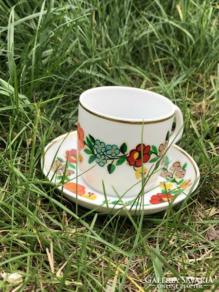 Hóllóháza flower pattern coffee cup and plate