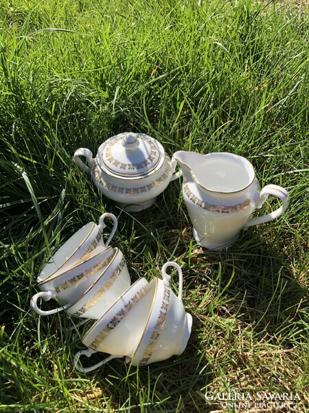 Czechoslovakian coffee set