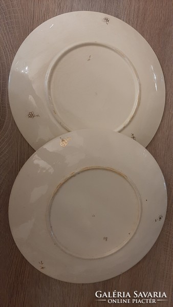 Ignace Fischer flat plates