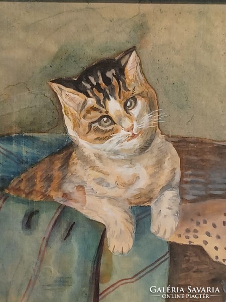 Old cat oil painting signed-1910