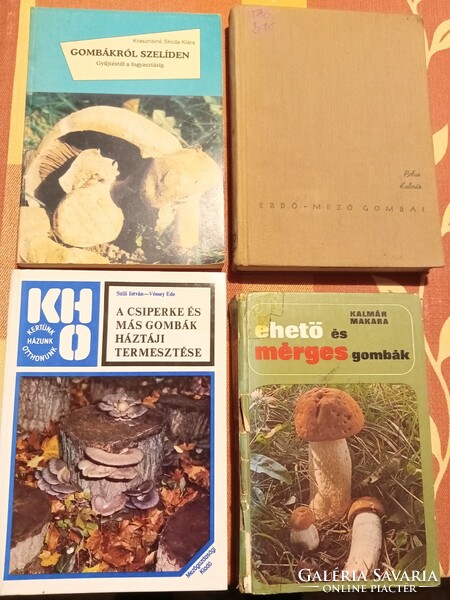 4 books on mushrooms for sale together.