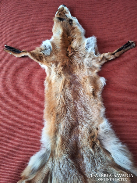 Hunter, fox fur, fox skin