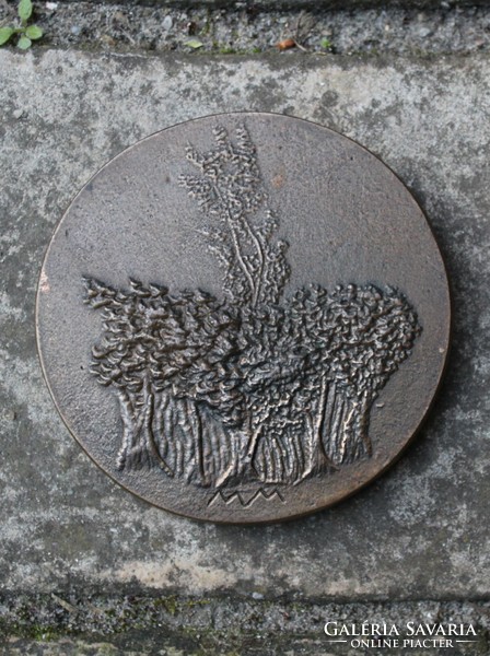 Miklós Melocco (1935): memorial for successful tree planting - bronze plaque