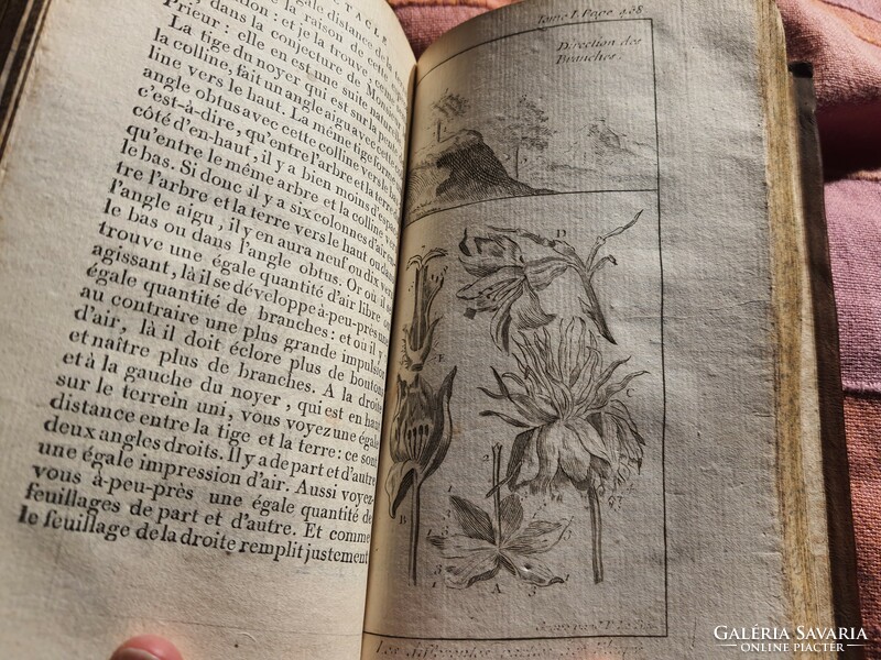 Fauna and flora, plush encyclopedia from 1789, with 23 engravings + title engraving full leather