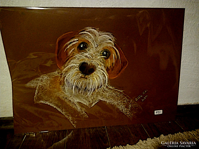 Mr. Szimat (dogs + cats pastel) 50x35cm
