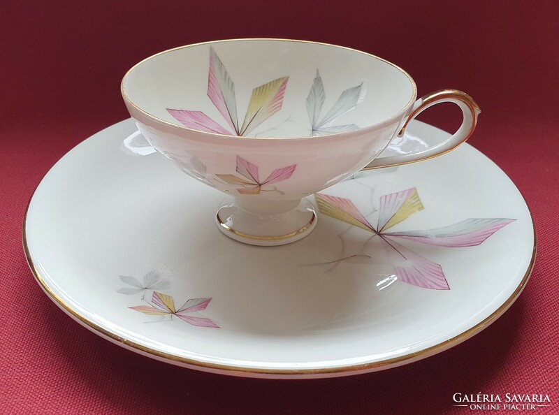 Johann seltmann v bavaria German porcelain coffee and tea breakfast set incomplete cup small plate plate