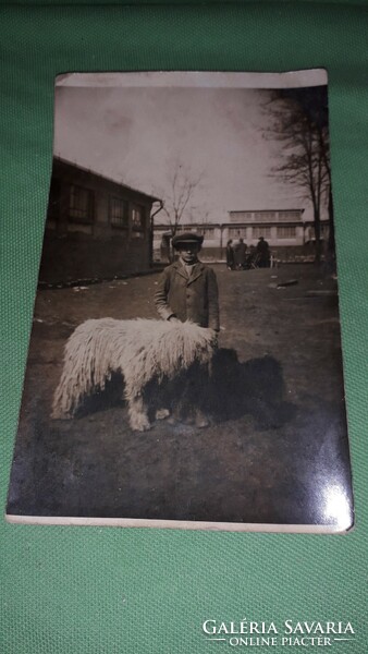 Antik magyar fotó képeslap kislegény kedvenc komondor kutyájával a képek szerint