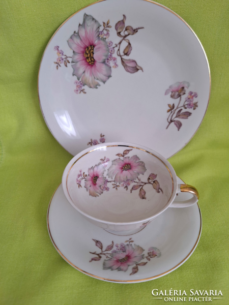 Bavaria schirnding porcelain breakfast set, cup, plate