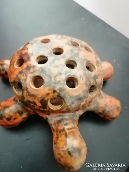 Tófej? Ceramic turtle