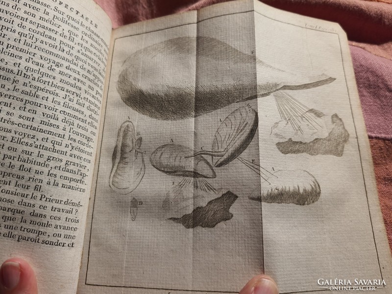 Állat- és növényvilág, Pluche enciklopédiája 1789-ből, 23 metszettel + címképmetszet egészbőr