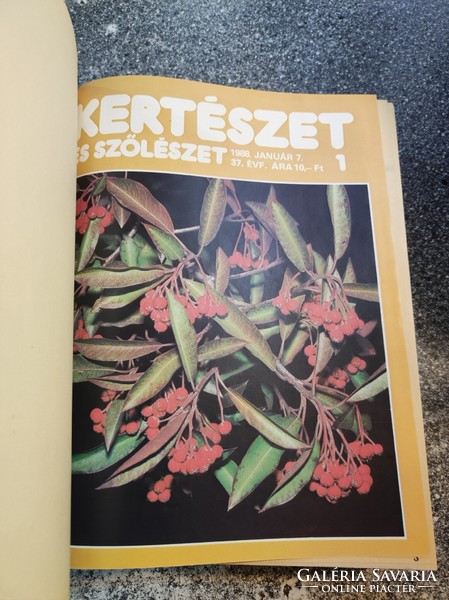 Kertészet és szőlészet 1988. Különleges kötésben- 1-52 szám. 37. évfolyam