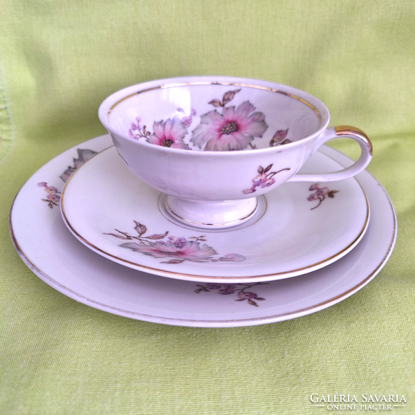 Bavaria schirnding porcelain breakfast set, cup, plate