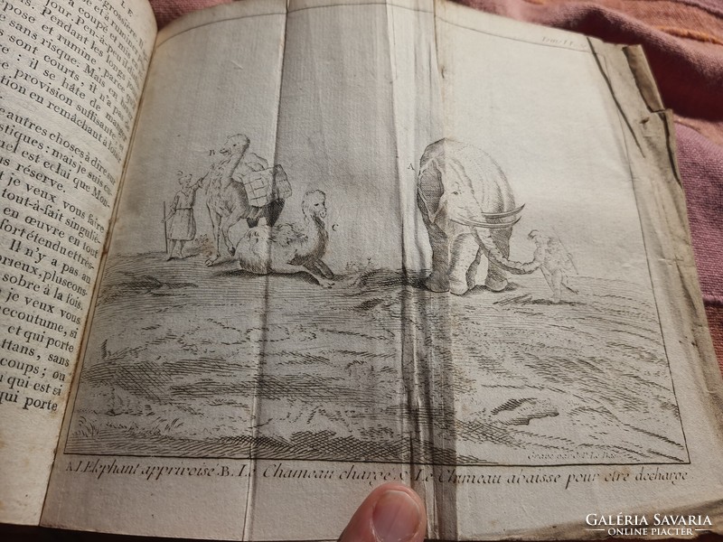 Fauna and flora, plush encyclopedia from 1789, with 23 engravings + title engraving full leather