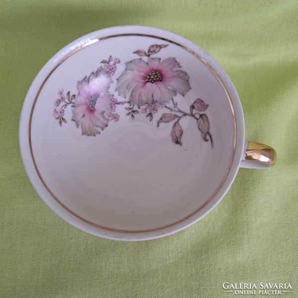 Bavaria schirnding porcelain breakfast set, cup, plate