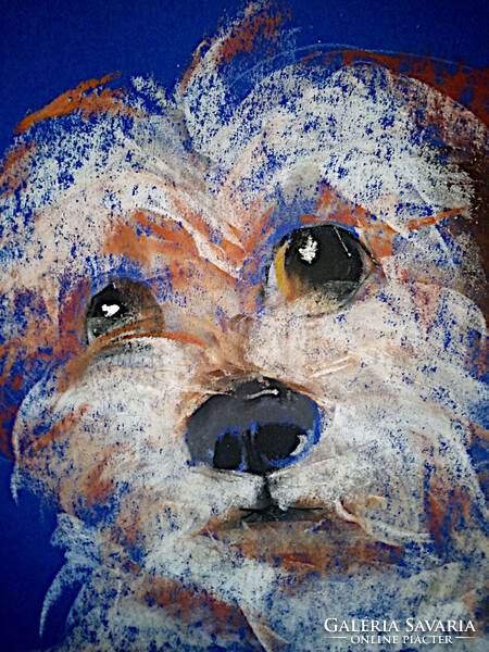 Blue dog (dogs + cats pastel) 50x35cm