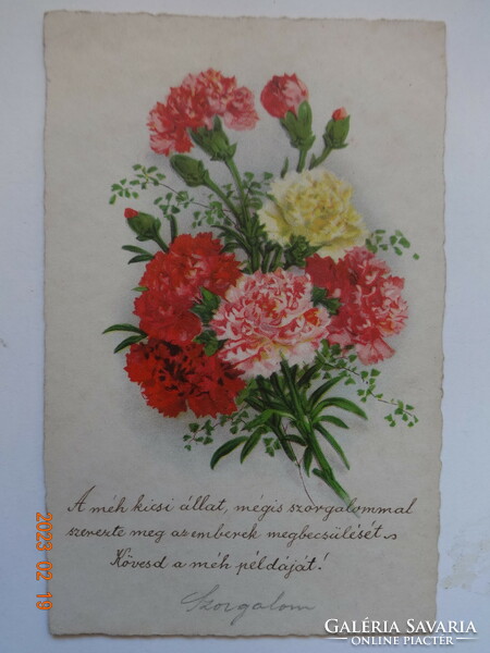 Régi grafikus virágos képeslap: szekfűcsokor (1930)
