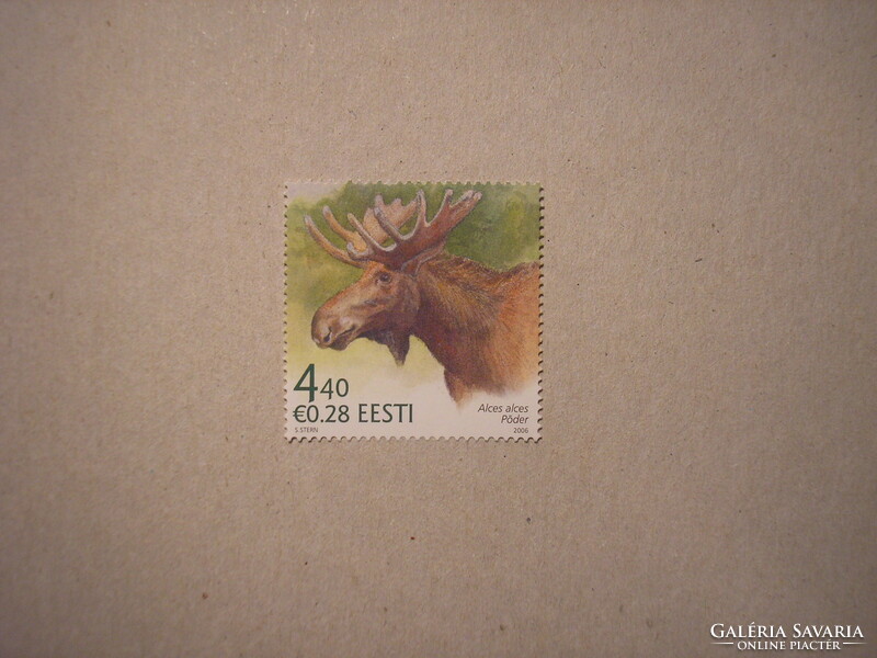 Estonia - fauna, animals, moose 2006