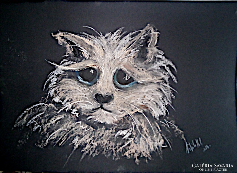 Cat care (dogs + cats pastel) 50x35cm
