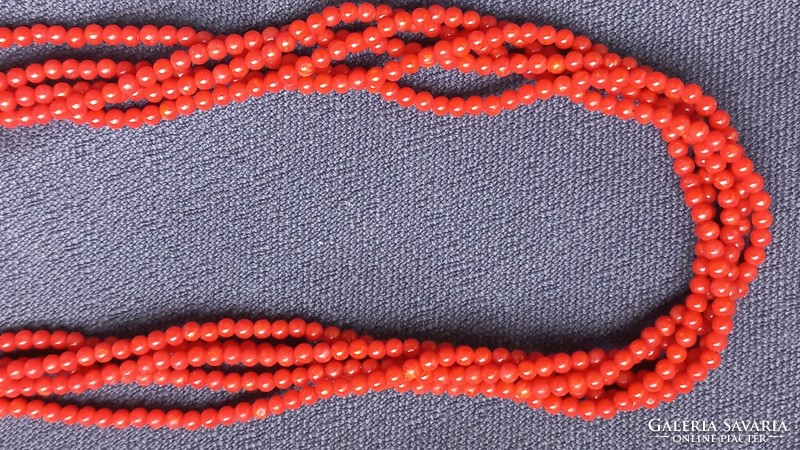 Noble coral chain