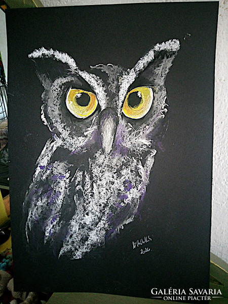 Another owl (dogs + cats pastel) 50x35cm