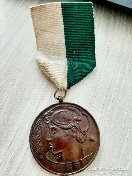 Ftc sports medal