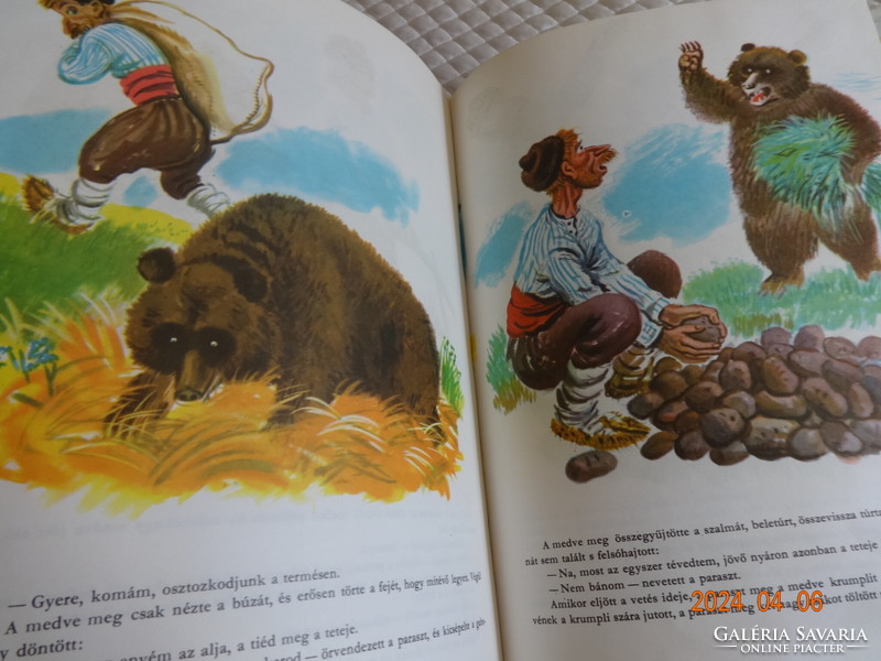 Forest stories - old storybook, richly illustrated animal tales