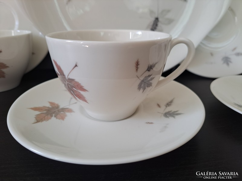 Royal doulton tumbling leaves 4+1 porcelain tea and coffee set