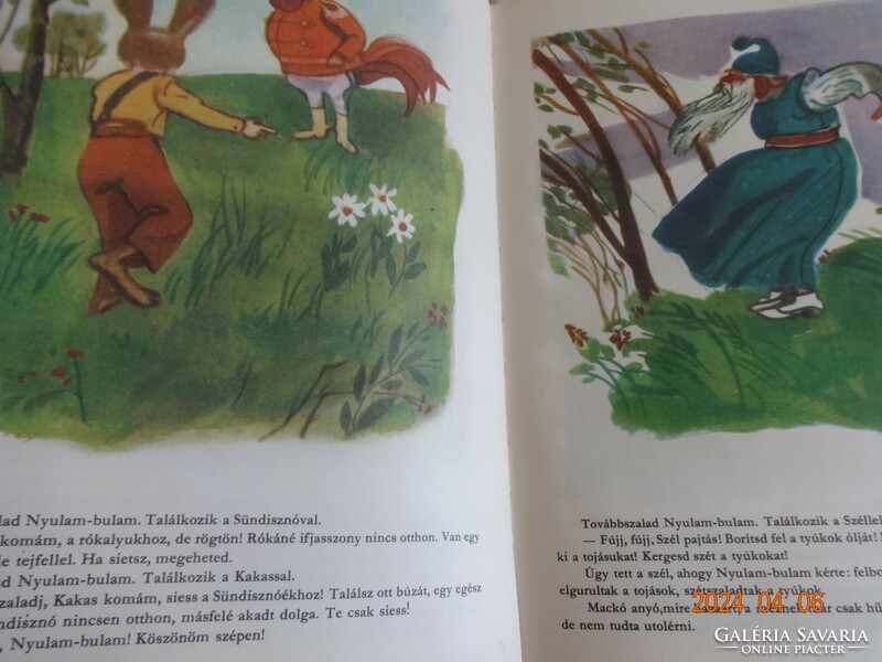 Forest stories - old storybook, richly illustrated animal tales
