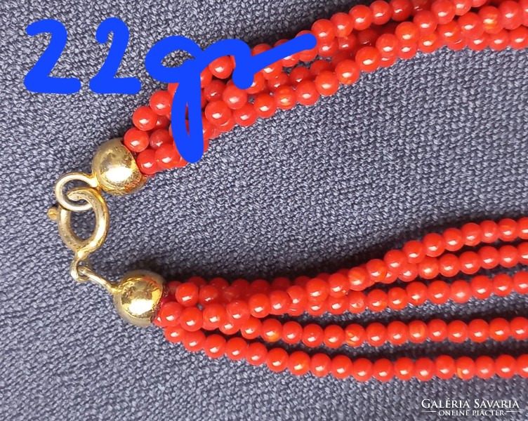 Noble coral chain