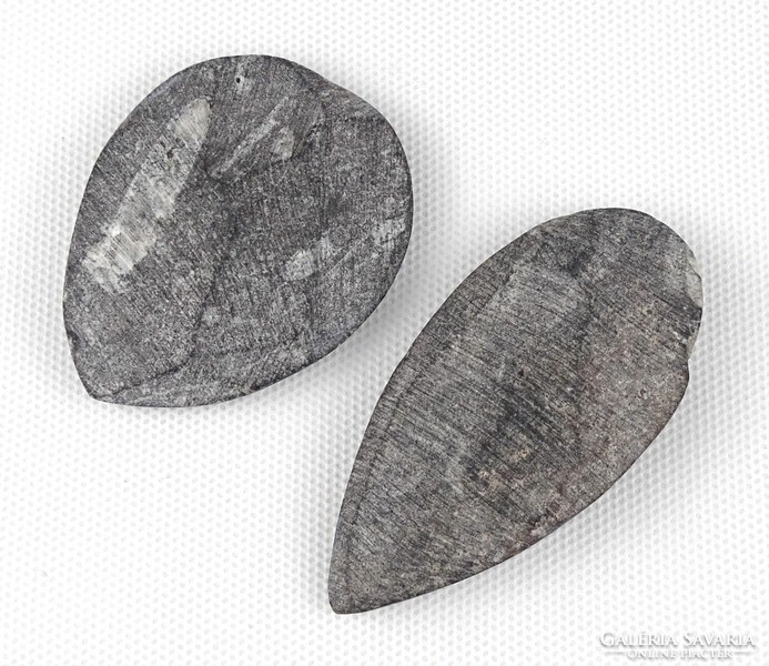 1Q931 orthoceras fossil grind 2 pieces