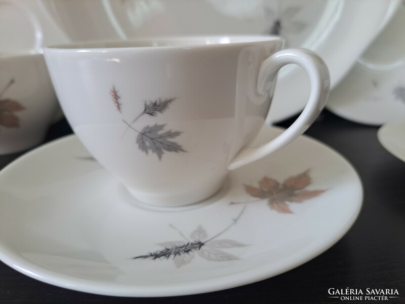 Royal Doulton Tumbling Leaves 4+1 -es porcelán teás-káves készlet