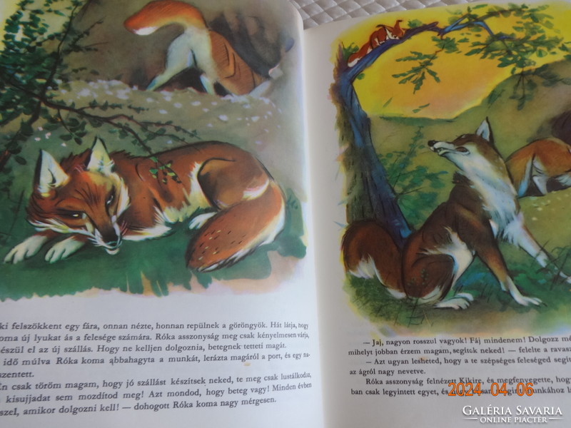 Forest stories - old storybook, richly illustrated animal tales