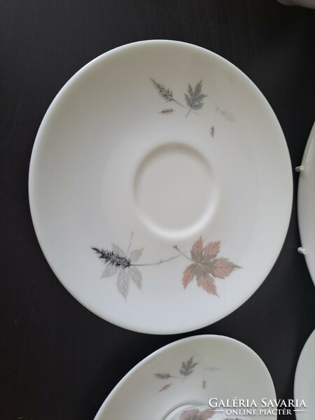 Royal Doulton Tumbling Leaves 4+1 -es porcelán teás-káves készlet