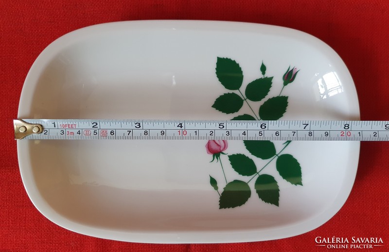 Arzberg German porcelain serving plate offering plate bowl with flower rose pattern