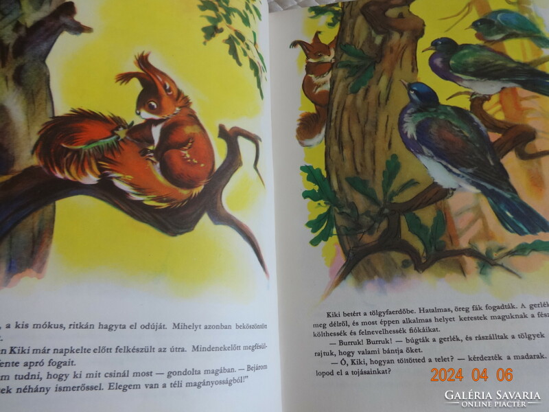 Forest stories - old storybook, richly illustrated animal tales