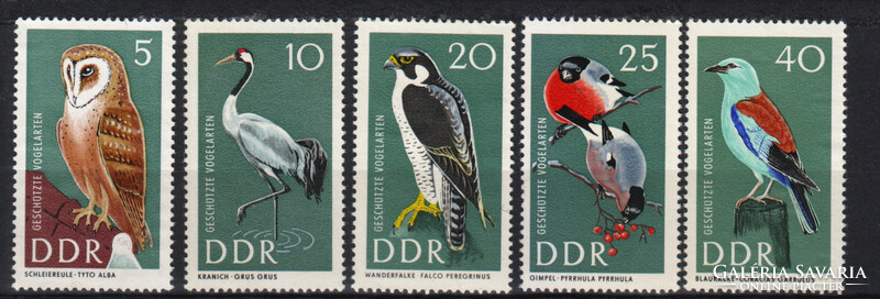 DDR / ndk 1967