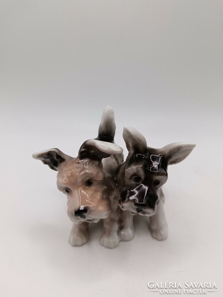 Unterweissbach puppies