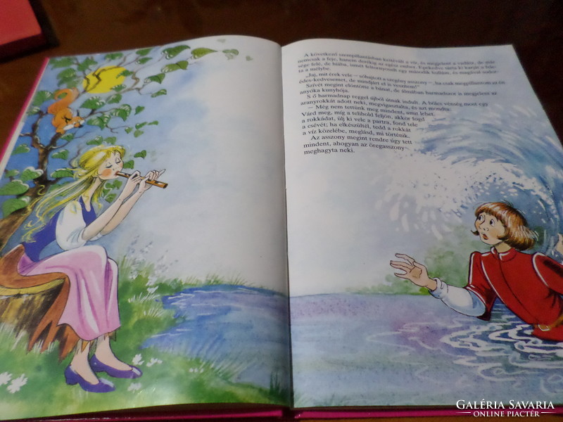 The lake fairy and other tales, with drawings by Zsuzsa Füzes, 2001