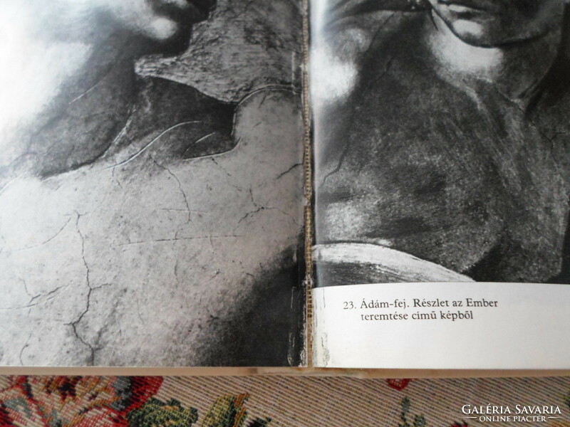 Karel Schulz: Pain Encased in Stone - The Life of Michelangelo (Corvina, 1968)