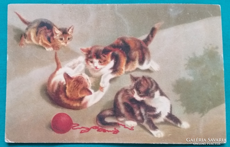 Antique kitten greeting card.