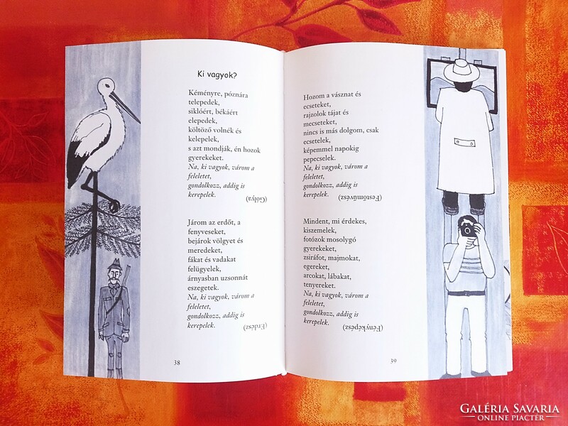 Nagy Bandó András könyv, Madarak tolláról, versek, gyerekkönyv