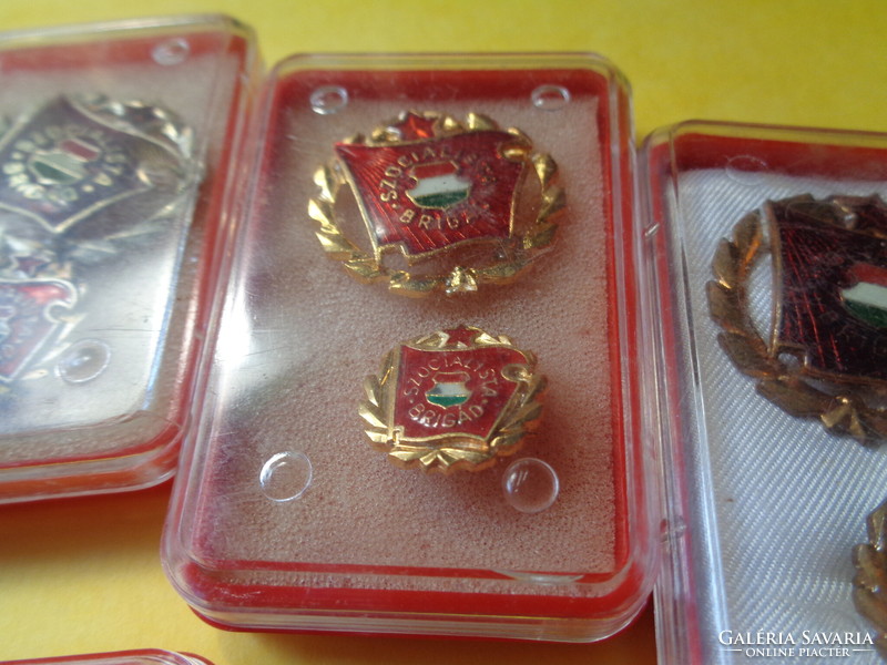 Socialist brigade in badge box