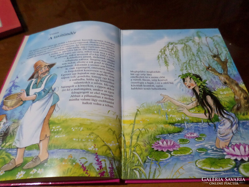 The lake fairy and other tales, with drawings by Zsuzsa Füzes, 2001