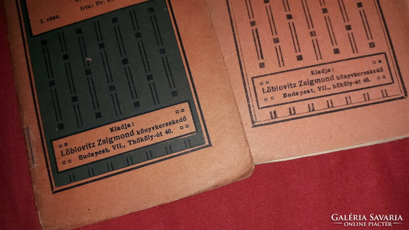 1905. Small library Jenő csuday, dr. : The history of the Hungarians. I.-II.– Zsigmond Löblovitz
