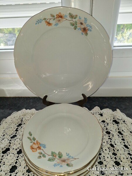 Polish porcelain cake set