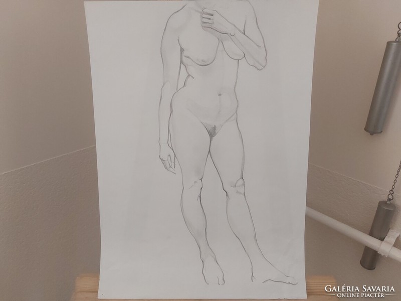 (K) marked nude graphic studies 9 pieces 39x56 cm