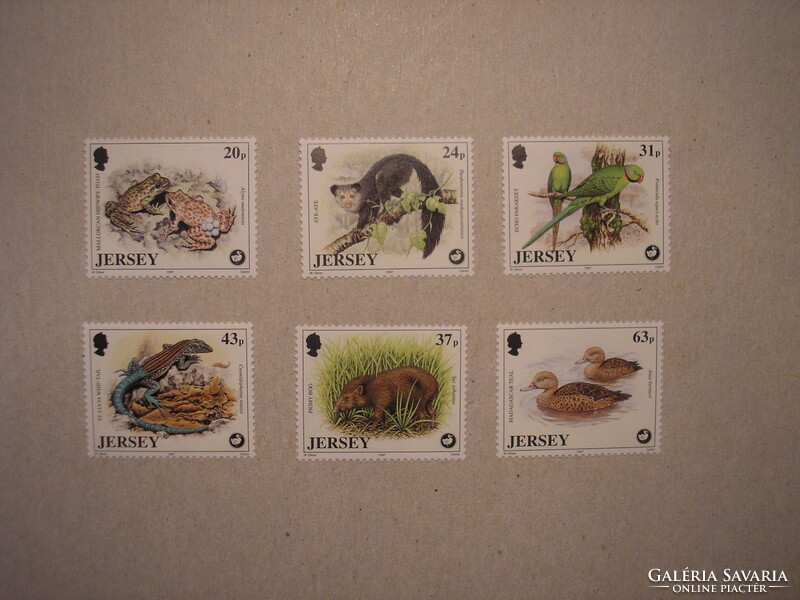 Jersey - fauna, animals 1997