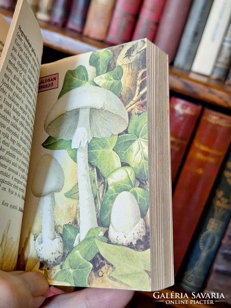 1982 Retro minibook-unread!-Mushrooms-explorer books